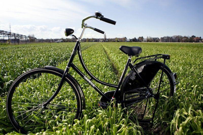 Waar komt naam omafiets vandaan?