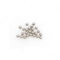 kogels 1 4 inch zilver 24 stuks