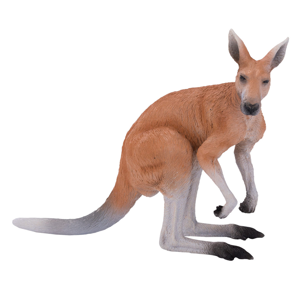 Mojo wildlife kangoeroe - 381010