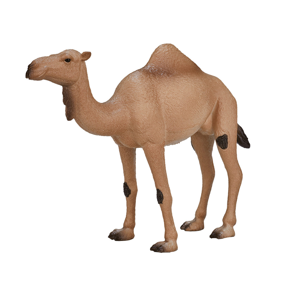 Mojo wildlife arabische kameel - 387113