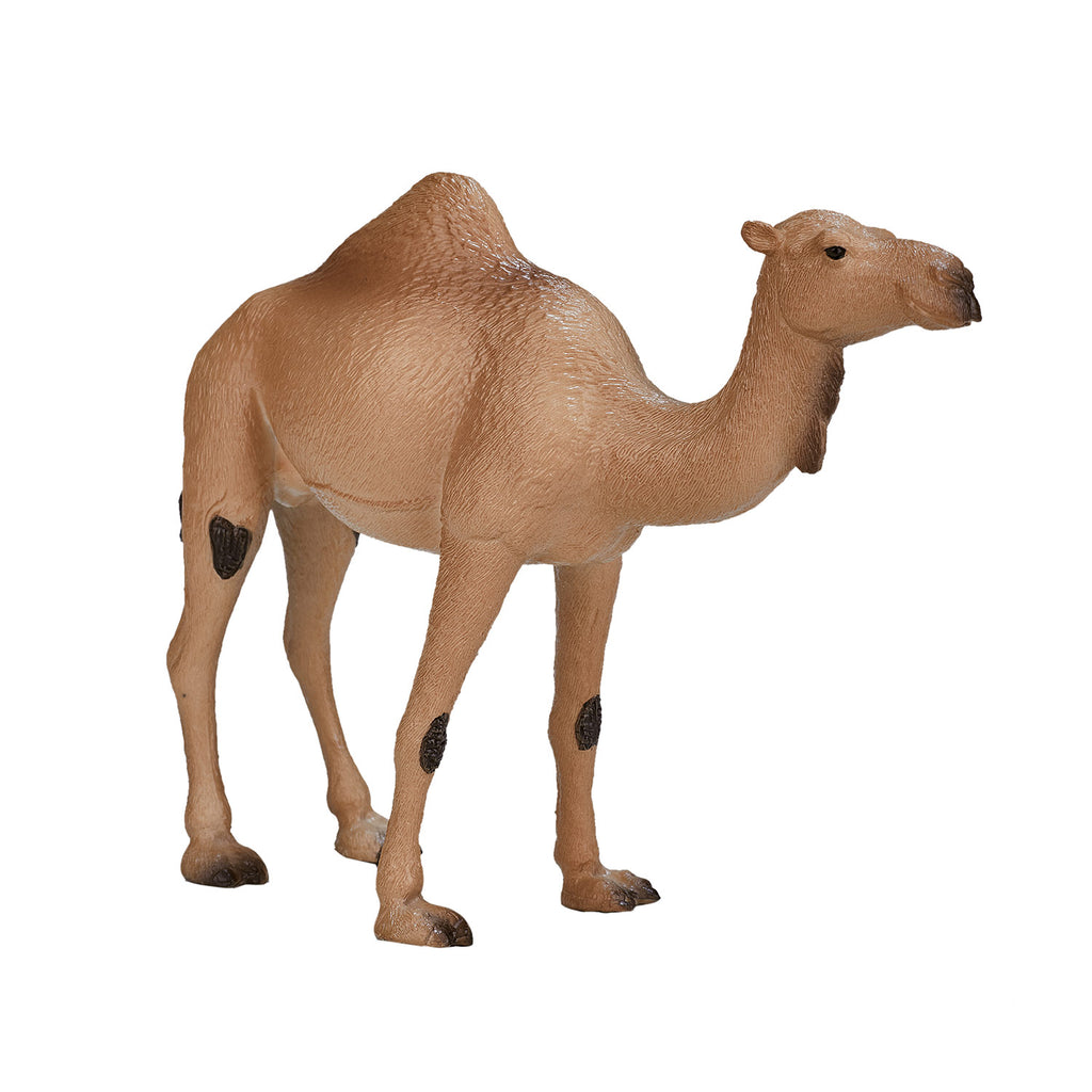 Mojo wildlife arabische kameel - 387113