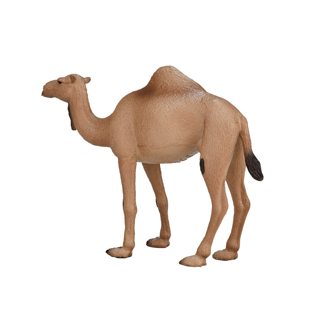 Mojo wildlife arabische kameel - 387113