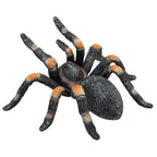Mojo wildlife rode tarantula - 387213