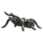 Mojo wildlife rode tarantula - 387213