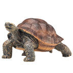 Mojo Wildlife Reuzenschildpad 387259