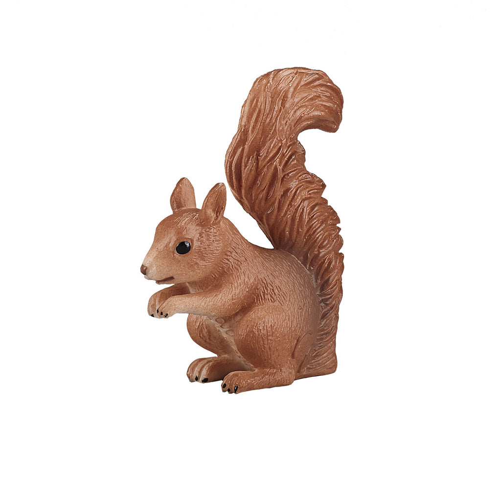Mojo wildlife eekhoorn staand - 387031
