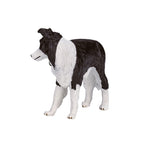 Mojo farmland border collie - 387203