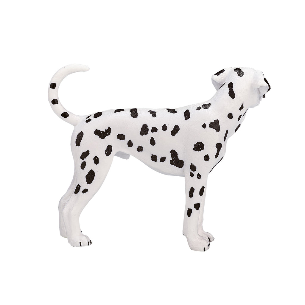 Mojo farmland dalmatiër - 387248