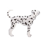 Mojo farmland dalmatiër - 387248