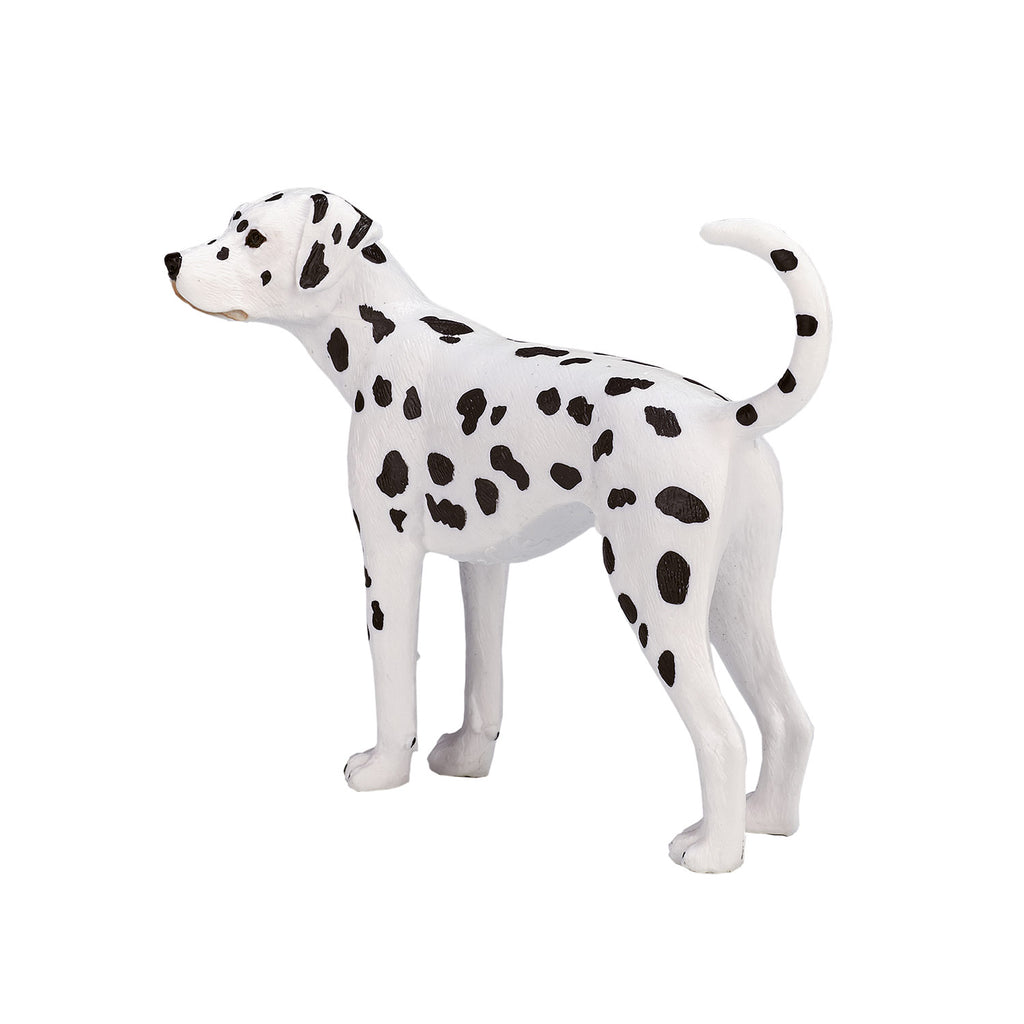 Mojo farmland dalmatiër - 387248