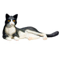 Mojo farmland liggende kat zwart wit - 387367