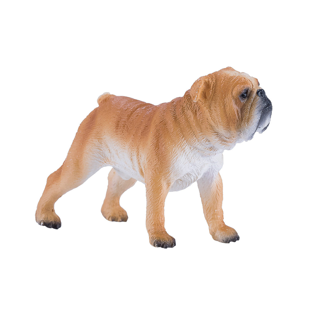 Mojo farmland engelse bulldog - 381053