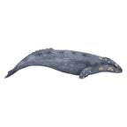 Mojo sealife - grijze walvis 387280