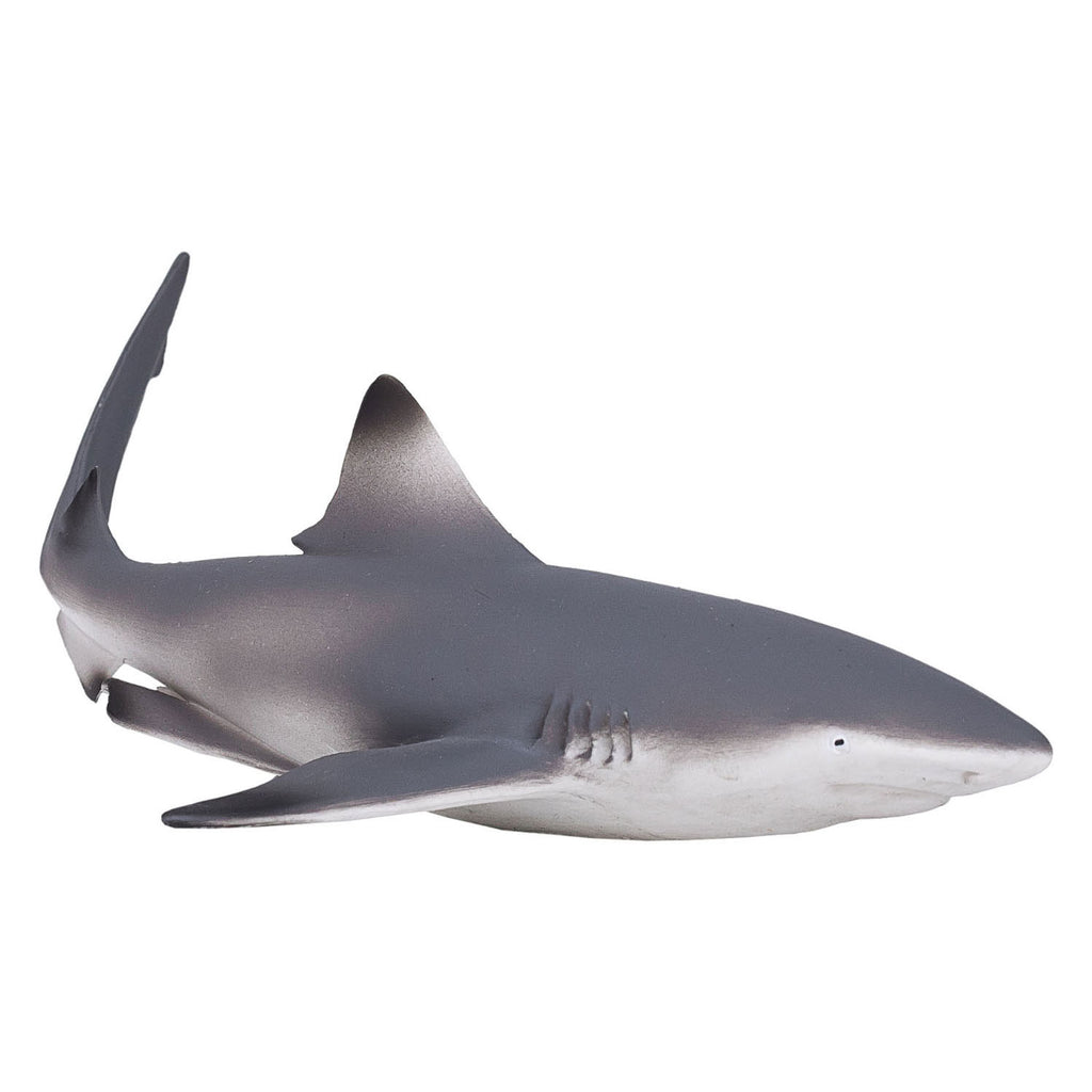 Mojo sealife zwartpuntrifhaai 387357