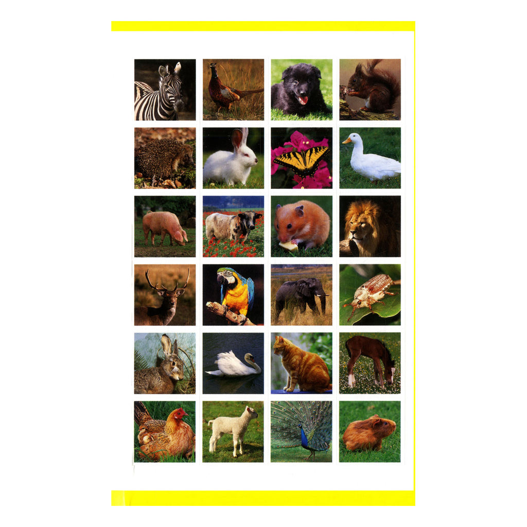 Deltas stickerpret - ik leer de dieren kennen