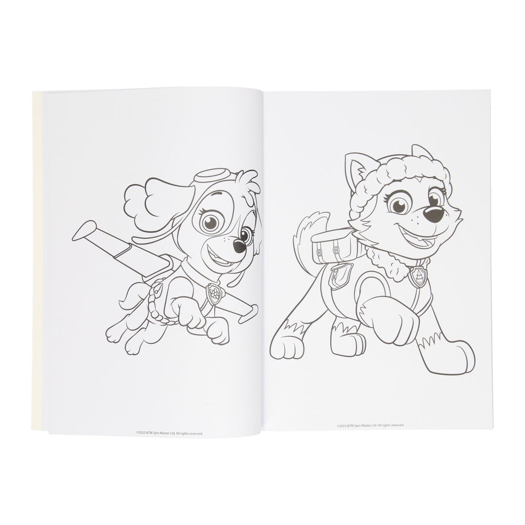 Paw patrol kleurboek assorti