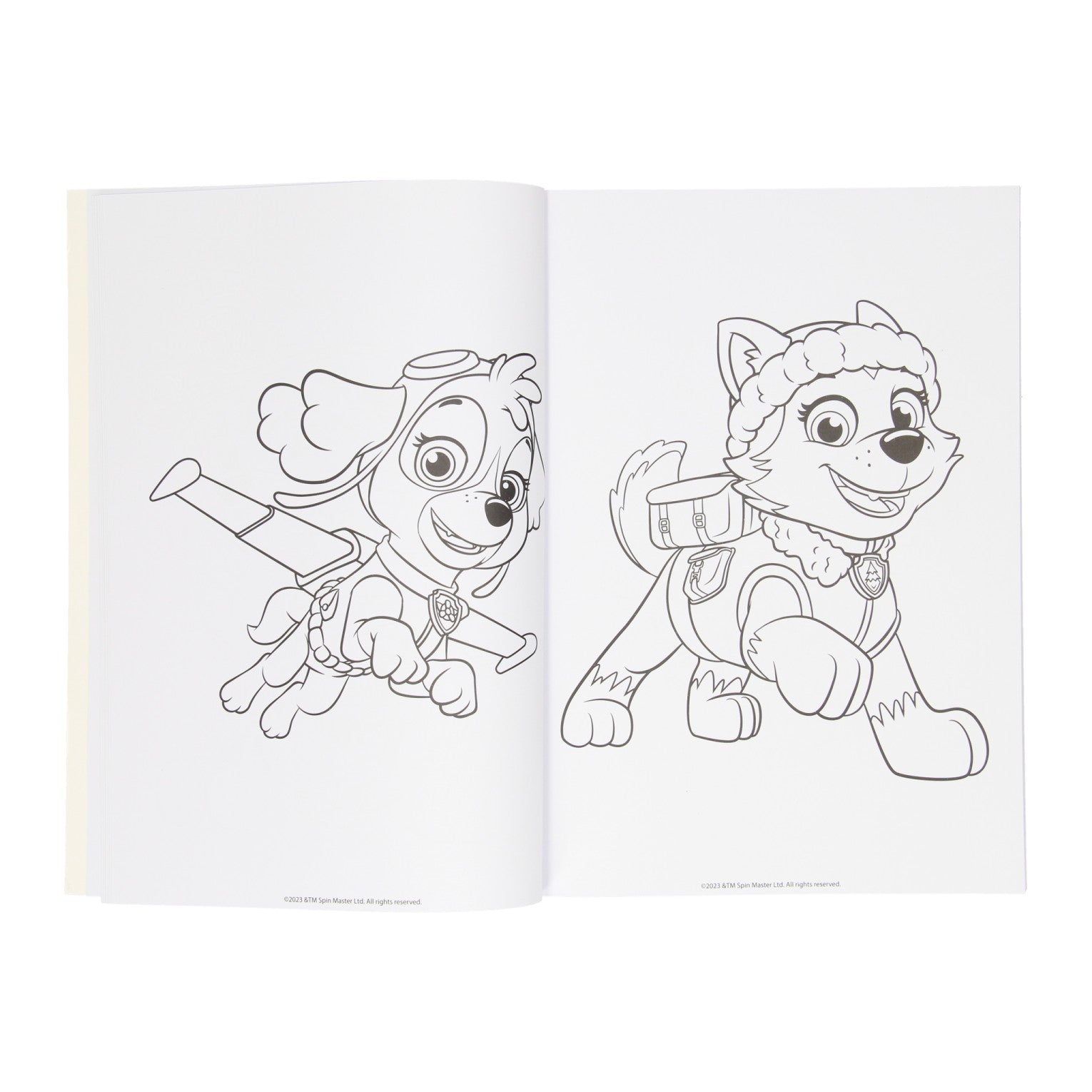 Paw patrol kleurboek assorti