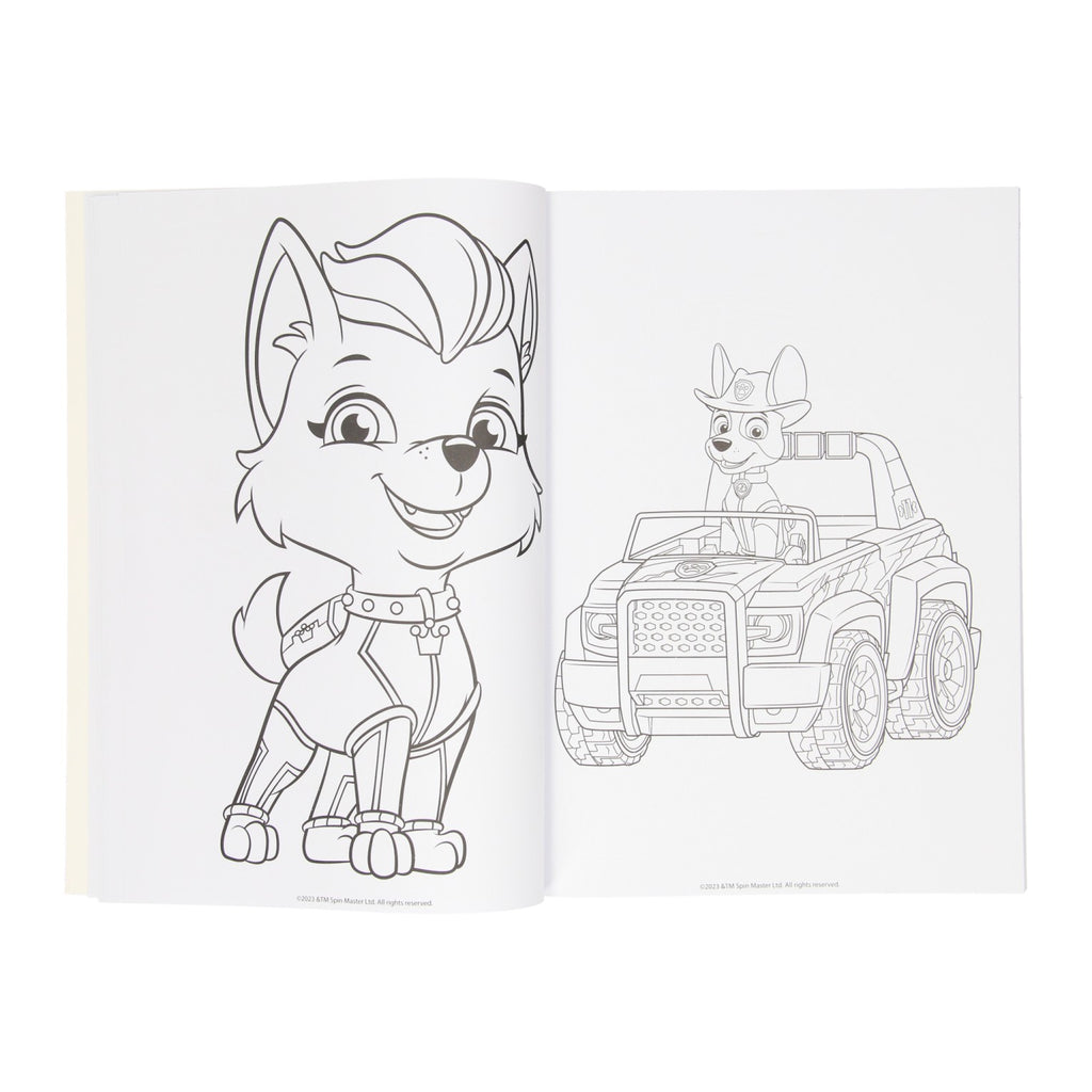Paw patrol kleurboek assorti