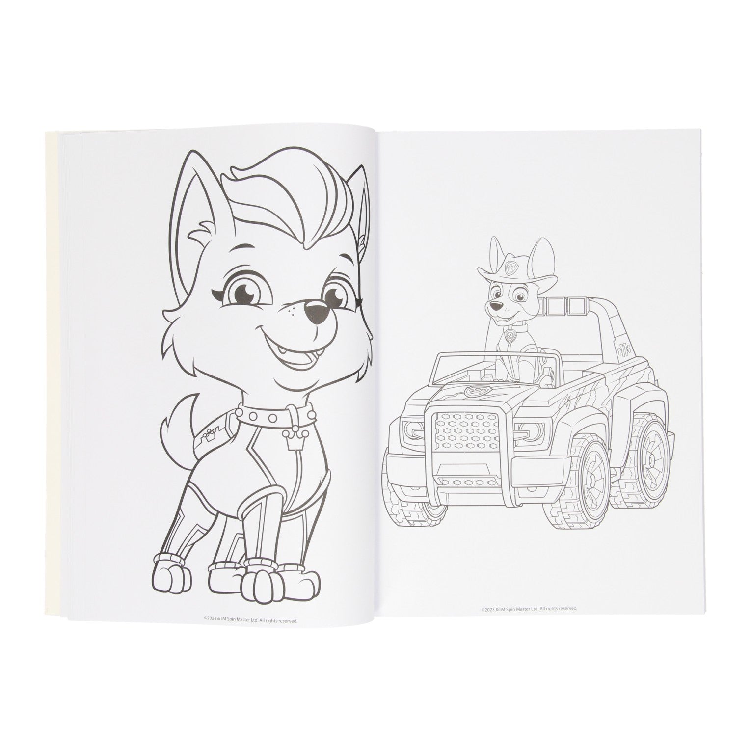 Paw patrol kleurboek assorti