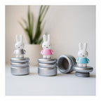 Bambolino toys nijntje melktandendoosje blauw zilver