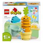 Lego ® duplo 10981 mijn eerste groeiende wortel