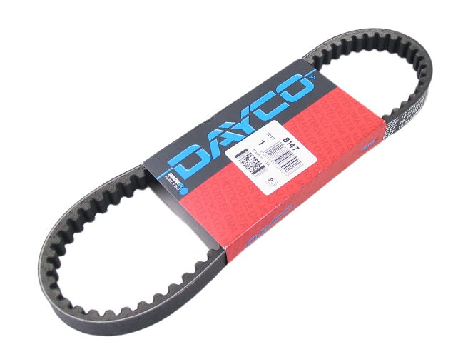 Dayco v-snaar standard v-belts 18.5x730 mm