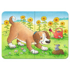 Ravensburger schattige huisdieren puzzel, 4in1