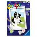 Ravensburger creart schilderen op nummer border collie