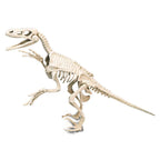 Clementoni Wetenschap Spel Archeospel Velociraptor