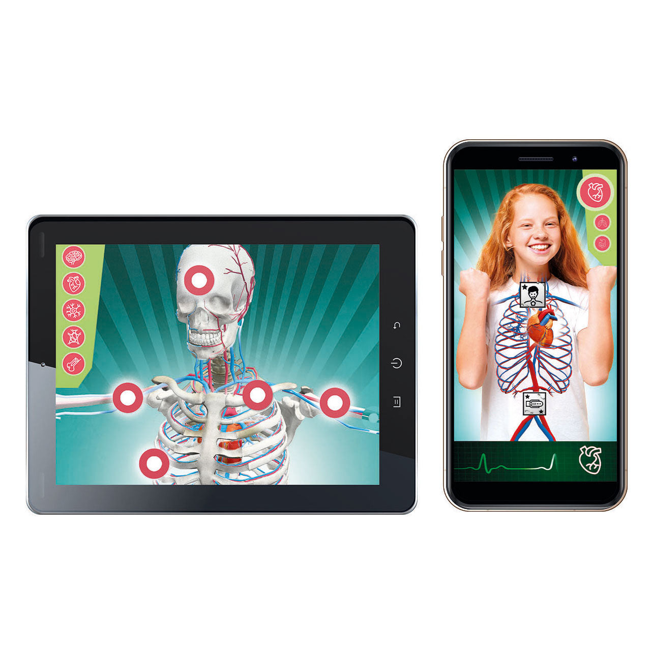 Clementoni wetenschap super anatomie