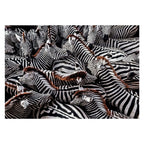 Clementoni Legpuzzel National Geographics - Zebra, 1000st.