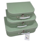 Playwood kartonnen koffer set groen, 3st.