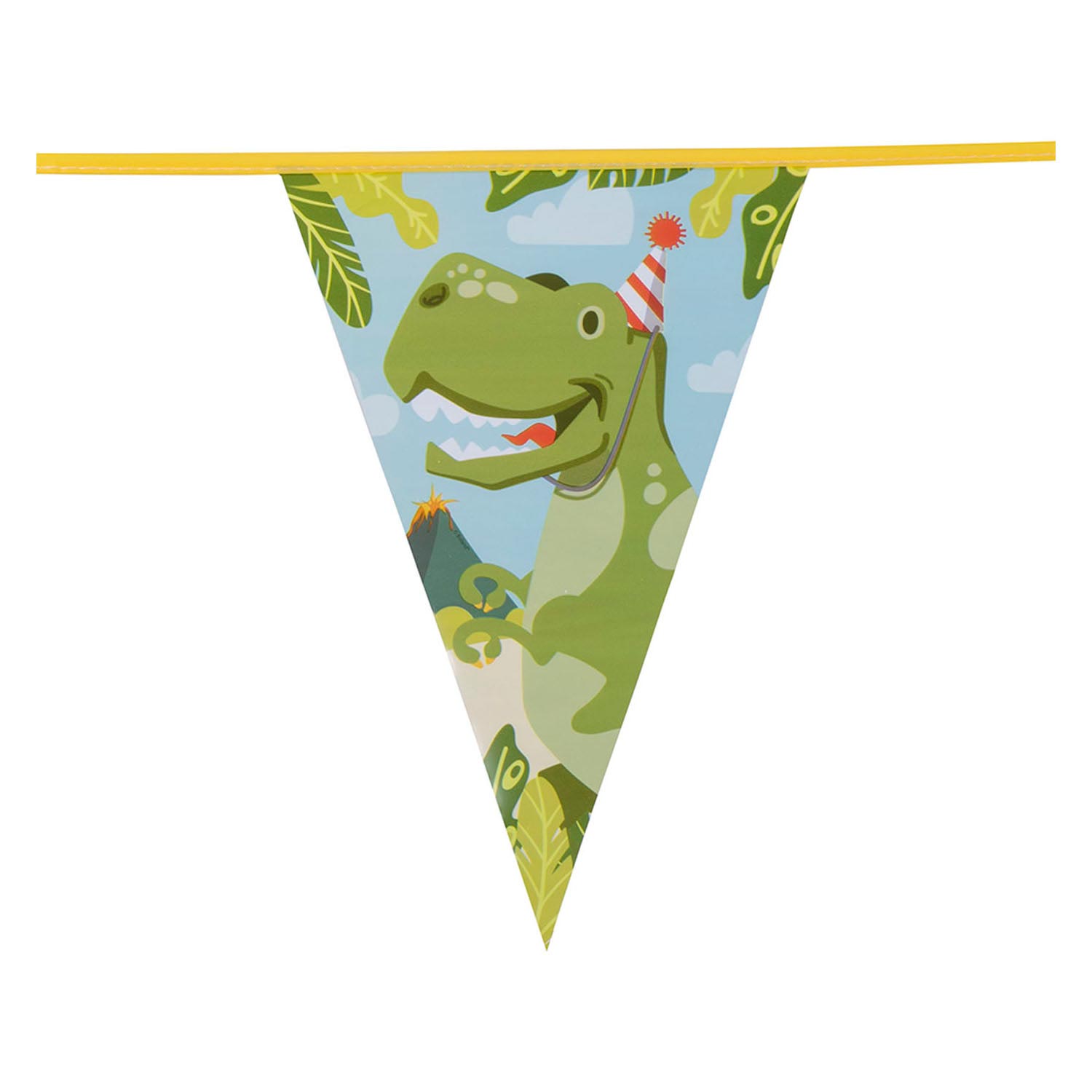 Boland vlaggenlijn dino party, 6mtr.