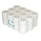 Euro poetspapier minirol 1-laags 120 meter x 20cm (12 rollen)