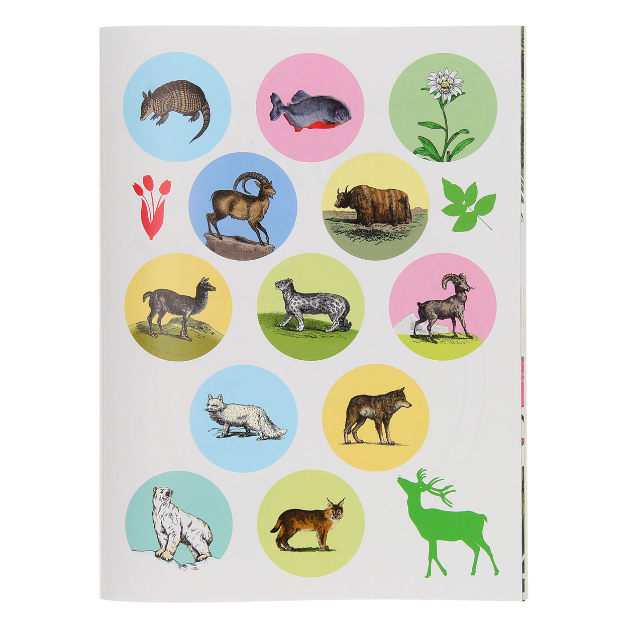 Ballon 50 weetjes, 50 stickers: natuur