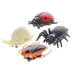 Raamkruiper insecten, 4st.