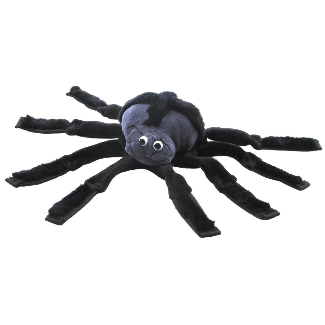 beleduc handpop spin