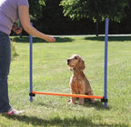 Trixie dog activity agility horde blauw oranje