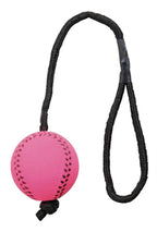 Trixie sportbal aan touw schuimrubber drijvend assorti