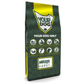 Yourdog Ari�geois senior