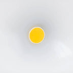 Steinel Steinel Sensor spotlight voor buiten LS 150 LED wit 052553