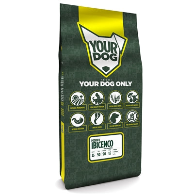 Yourdog Podenco ibicenco volwassen