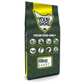 Yourdog Portugese pointer senior