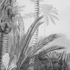 Komar fotobehang lac tropical black white 200x270 cm