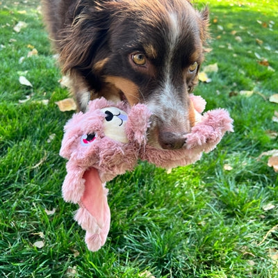 kong scrumplez bunny pluche met piep roze