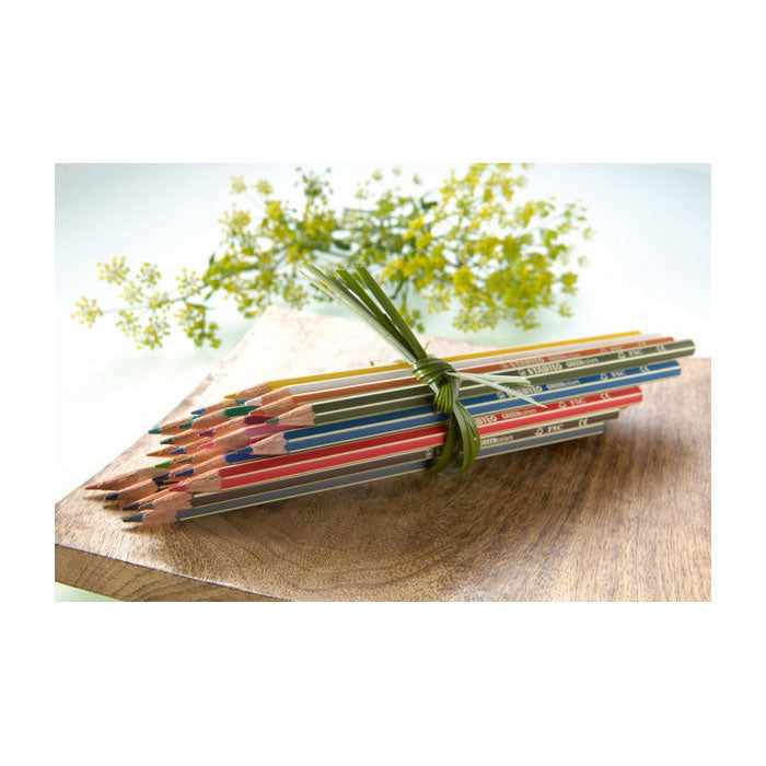 Abi stlo greencolors etui 12 kleuren