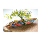 Abi stlo greencolors etui 24 kleuren