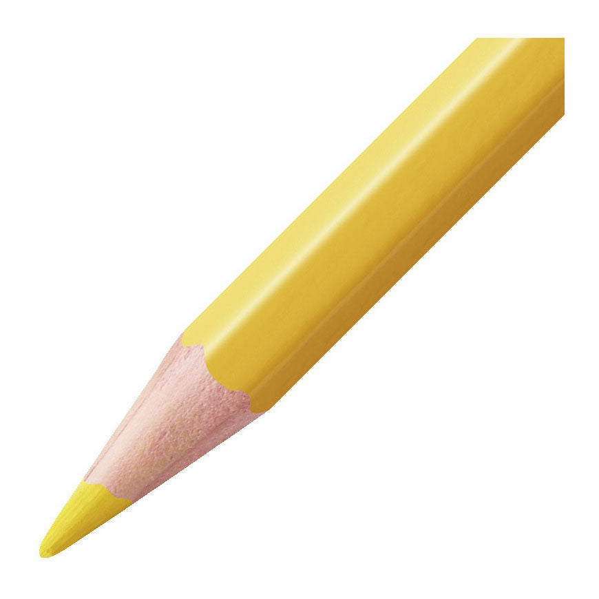 Stabilo aquacolor potloden 24 kleuren