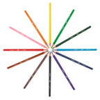 Bic kleurpotloden ecolutions evolution kunsthars recycled assorti 12stuks
