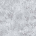 Dutch wallcoverings behang beton grijs